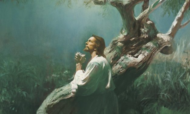 ゲッセマネの園で、キリストは何を感じられたのか