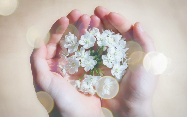 花を大事そうに持つ手