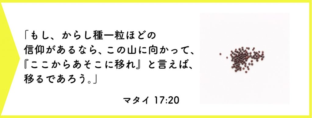 からし種の聖句