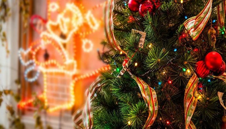 イルミネーションの手前のクリスマスツリー