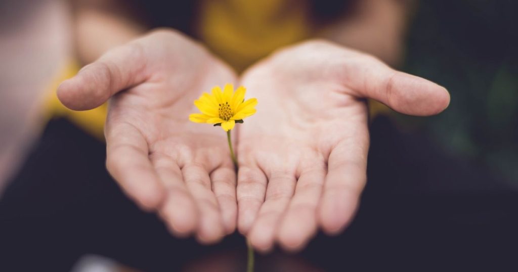うつで苦しむあなたに小さな花のようなヒントでも伝えたい