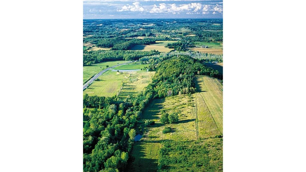 ジョセフ・スミスが示現を受けた聖なる森